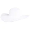Peter Grimm White Erin 5in. Brim Straw Hat