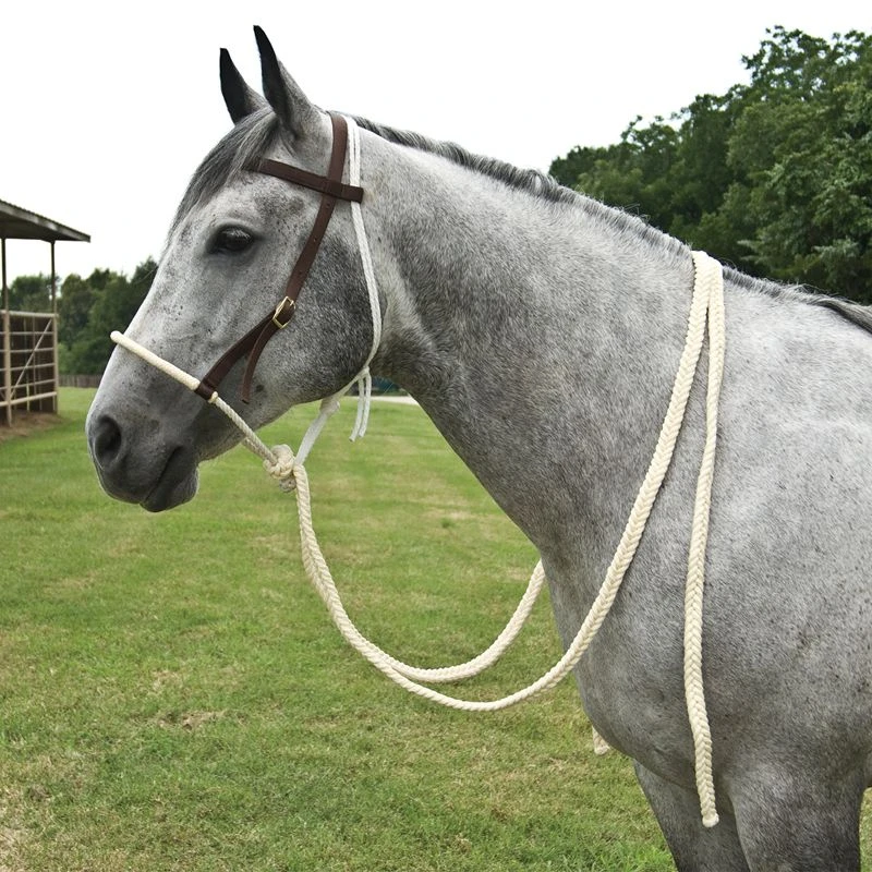 Mustang Working Hackamore 1 Mustang Working Hackamore