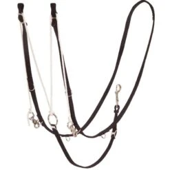 Mustang German Martingale