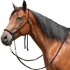 Mustang Bitless Bridle