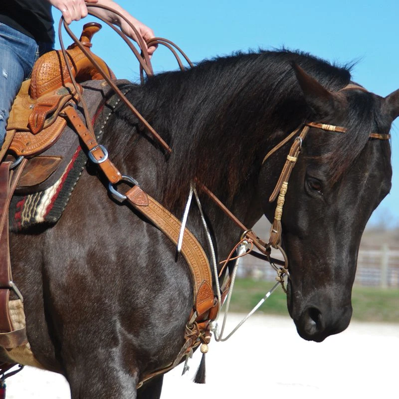 Nrs Tack String Martingale With Neck Piece 1 Nrs Tack String Martingale With Neck Piece