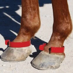 Justin Beasley Pawing Bracelet - Pair