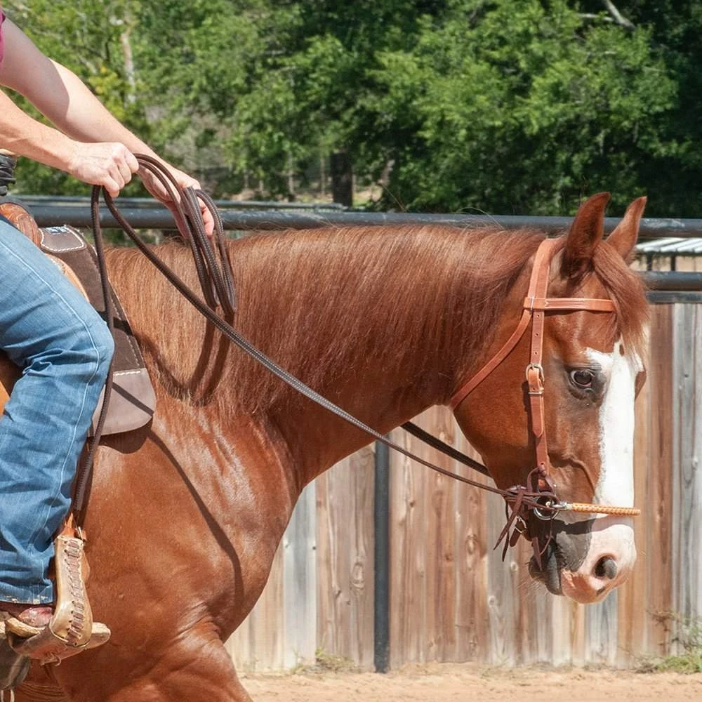 Jim Edwards Sidepull 2 Jim Edwards Sidepull - Image 2